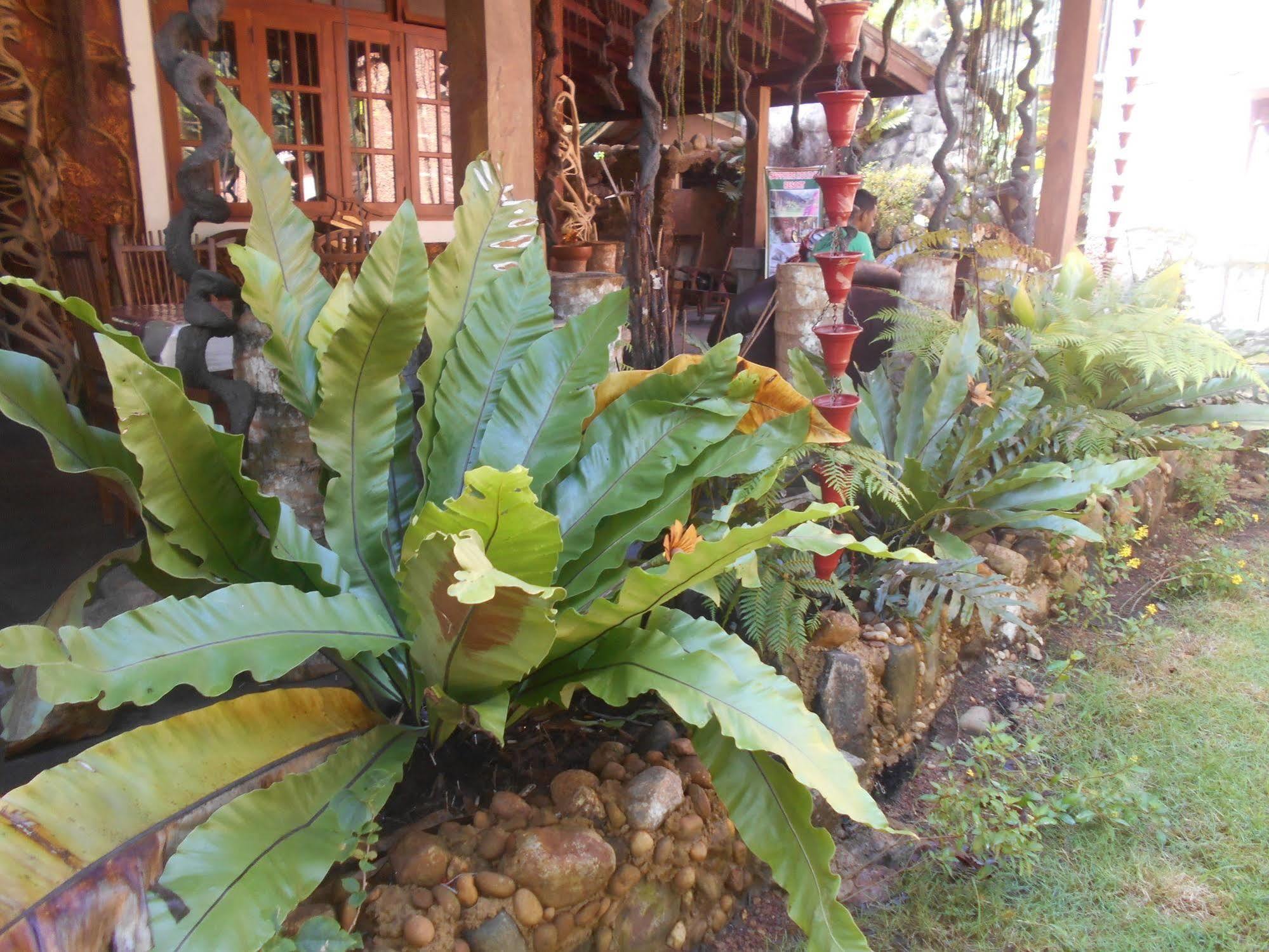 Sapphire Holiday Resort Ratnapura Εξωτερικό φωτογραφία